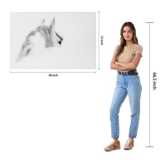 Empire Art Direct Vetro De Arte 48" x 32" Blanco Mare Horse Frameless Free Floating Printed Tempered Glass Wall Art
